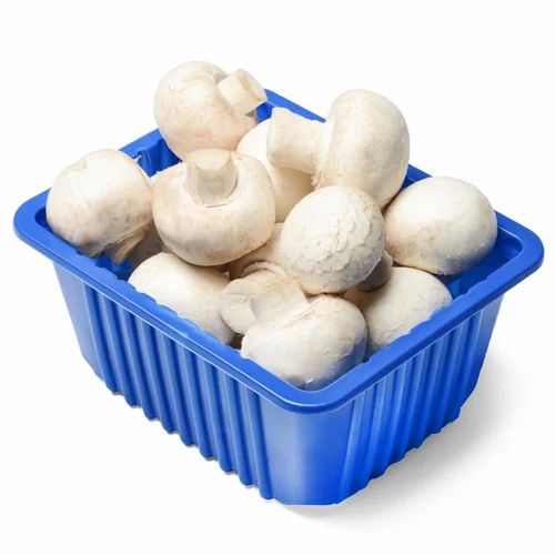 Fresh Button Mushroom